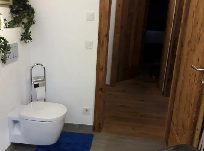 Fichtler Apartament *